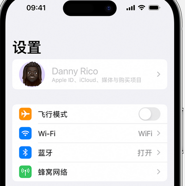 巨野appleID维修服务iPhone设置中Apple ID显示为灰色无法使用 