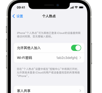 巨野apple服务站点分享iPhone上个人热点丢失了怎么办 