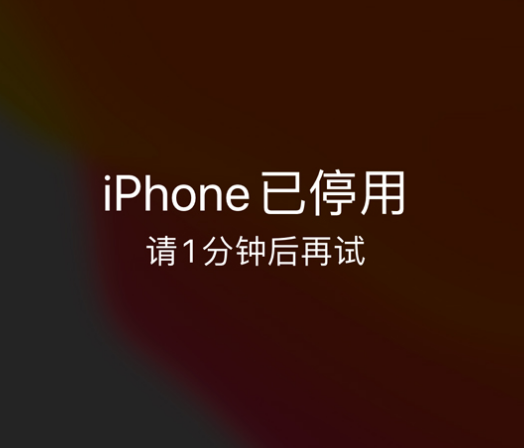 巨野苹果手机维修分享:iPhone 显示“不可用”或“已停用”怎么办？还能保留数据吗？ 