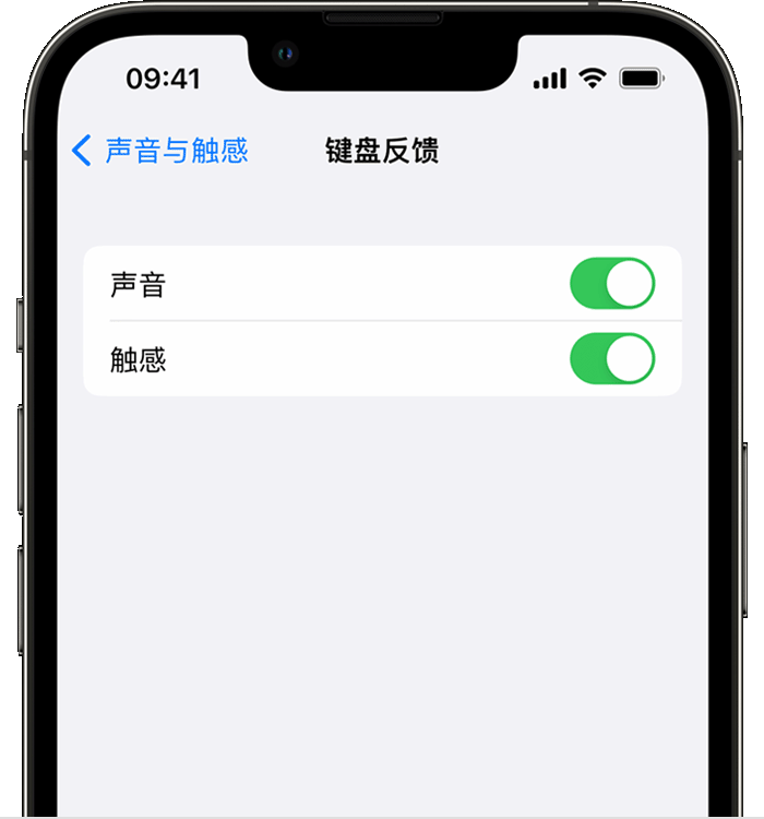 巨野苹果14维修店分享如何在 iPhone 14 机型中使用触感键盘 