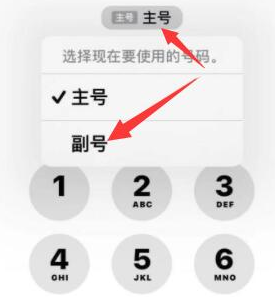 巨野苹果14维修店分享iPhone 14 Pro Max使用副卡打电话的方法 