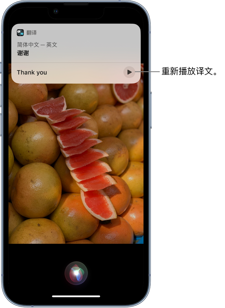 巨野苹果14维修分享 iPhone 14 机型中使用 Siri：了解 Siri 能帮你做什么 