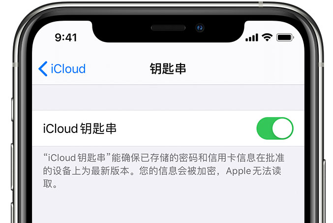 巨野苹果手机维修分享在 iPhone 上开启 iCloud 钥匙串之后会储存哪些信息 