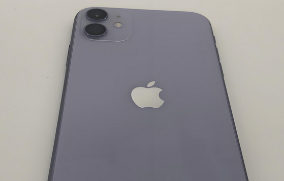 巨野苹果11系统维修分享iPhone11手机系统崩溃无法开机如何解决 